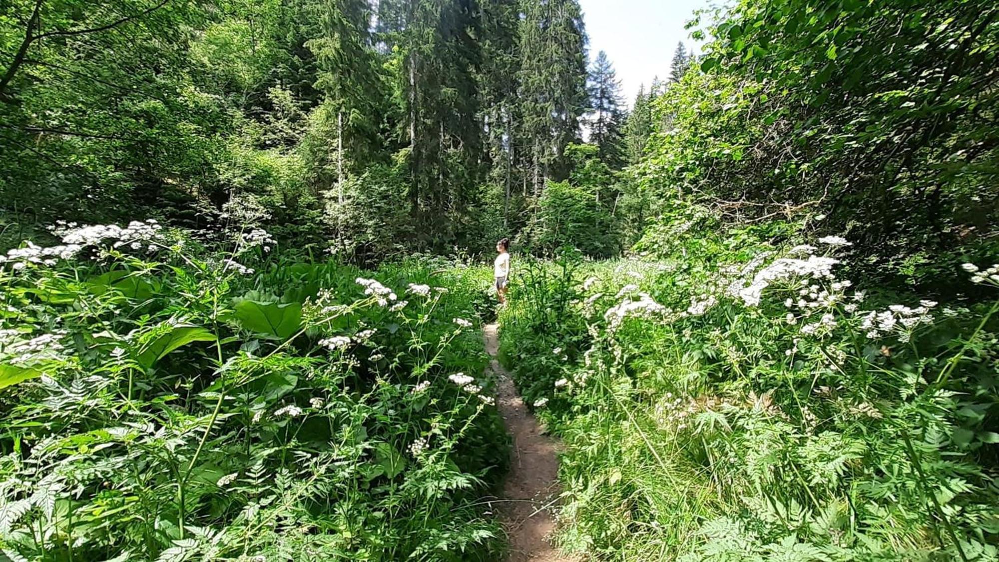 Landhaus Alpenpanorama Löffingen Екстериор снимка