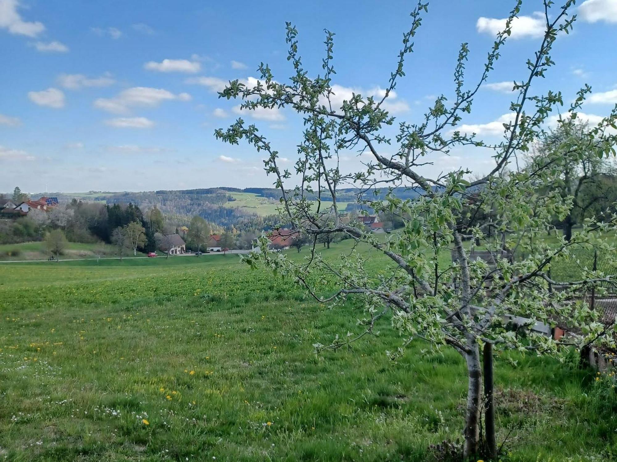 Landhaus Alpenpanorama Löffingen Екстериор снимка
